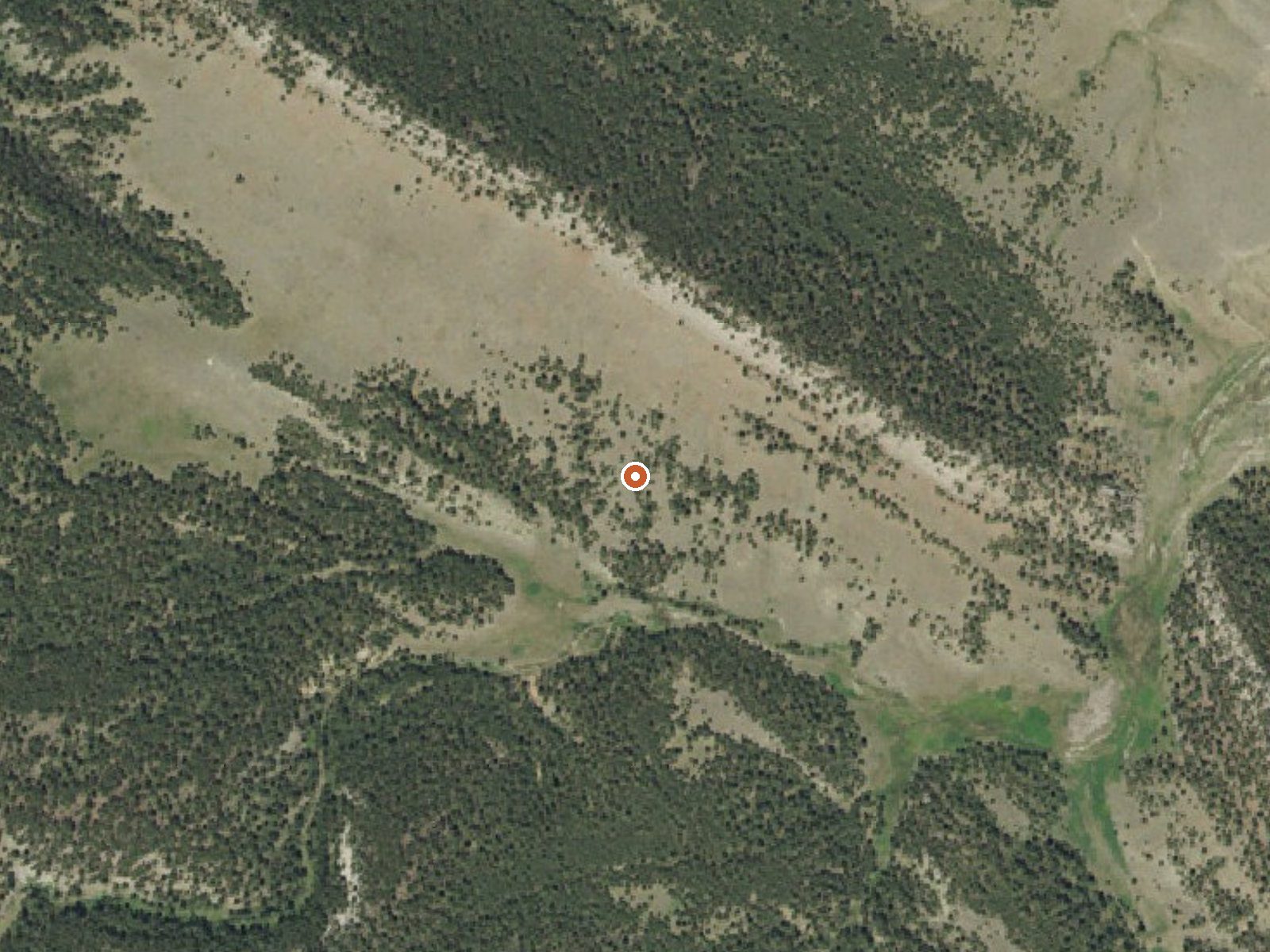 Aerial view of the ground around Durfee Creek Springs