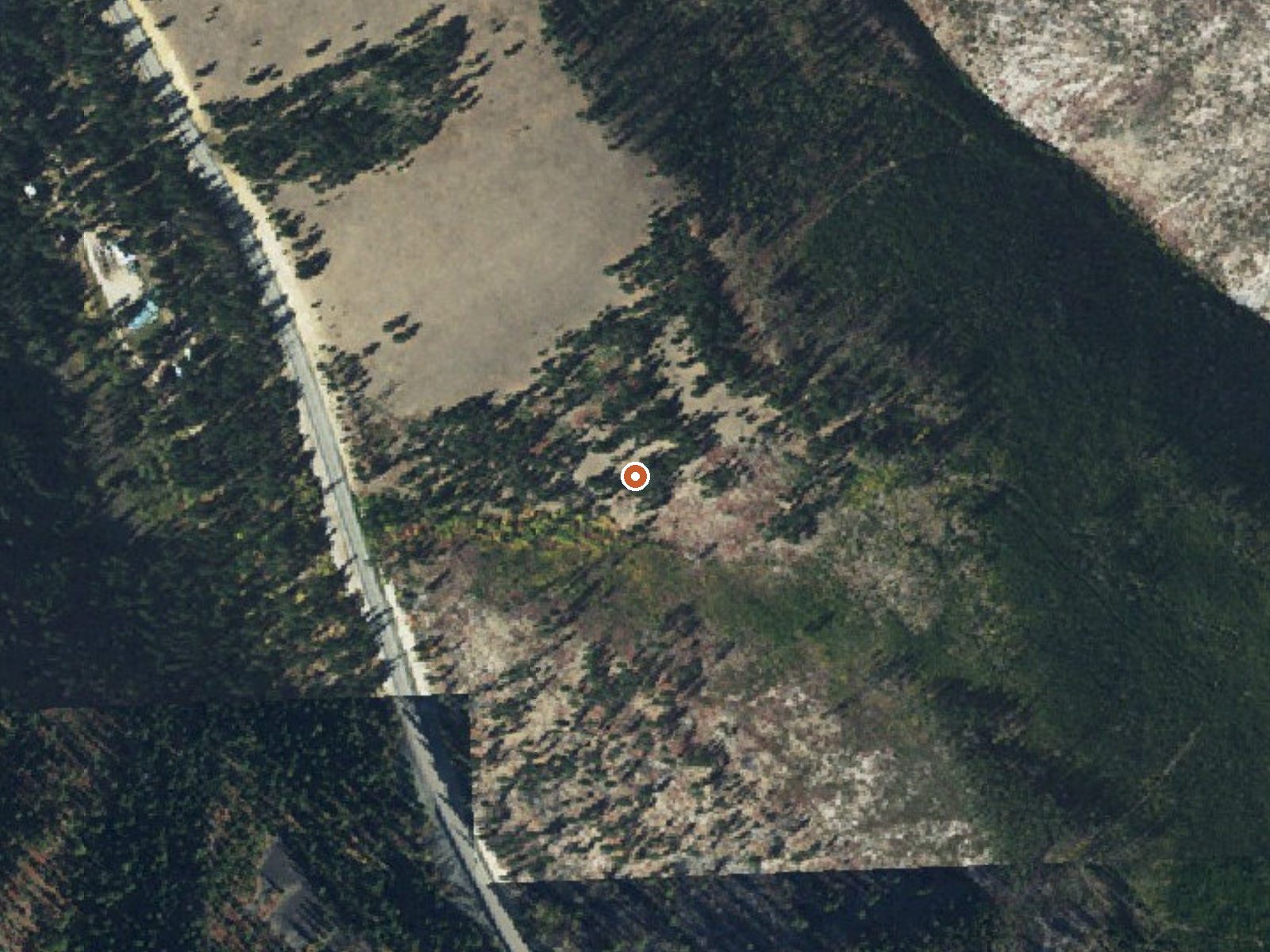 Aerial view of the ground around Gallogly Spring