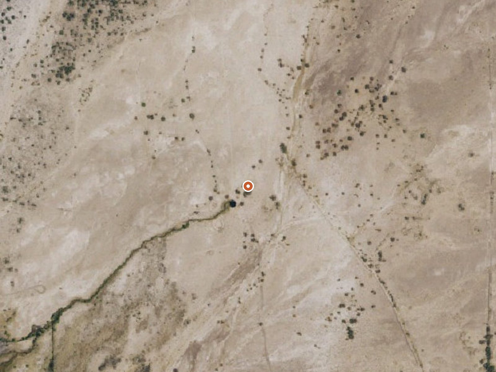 Aerial view of the ground around Big (Ash Meadows) Spring