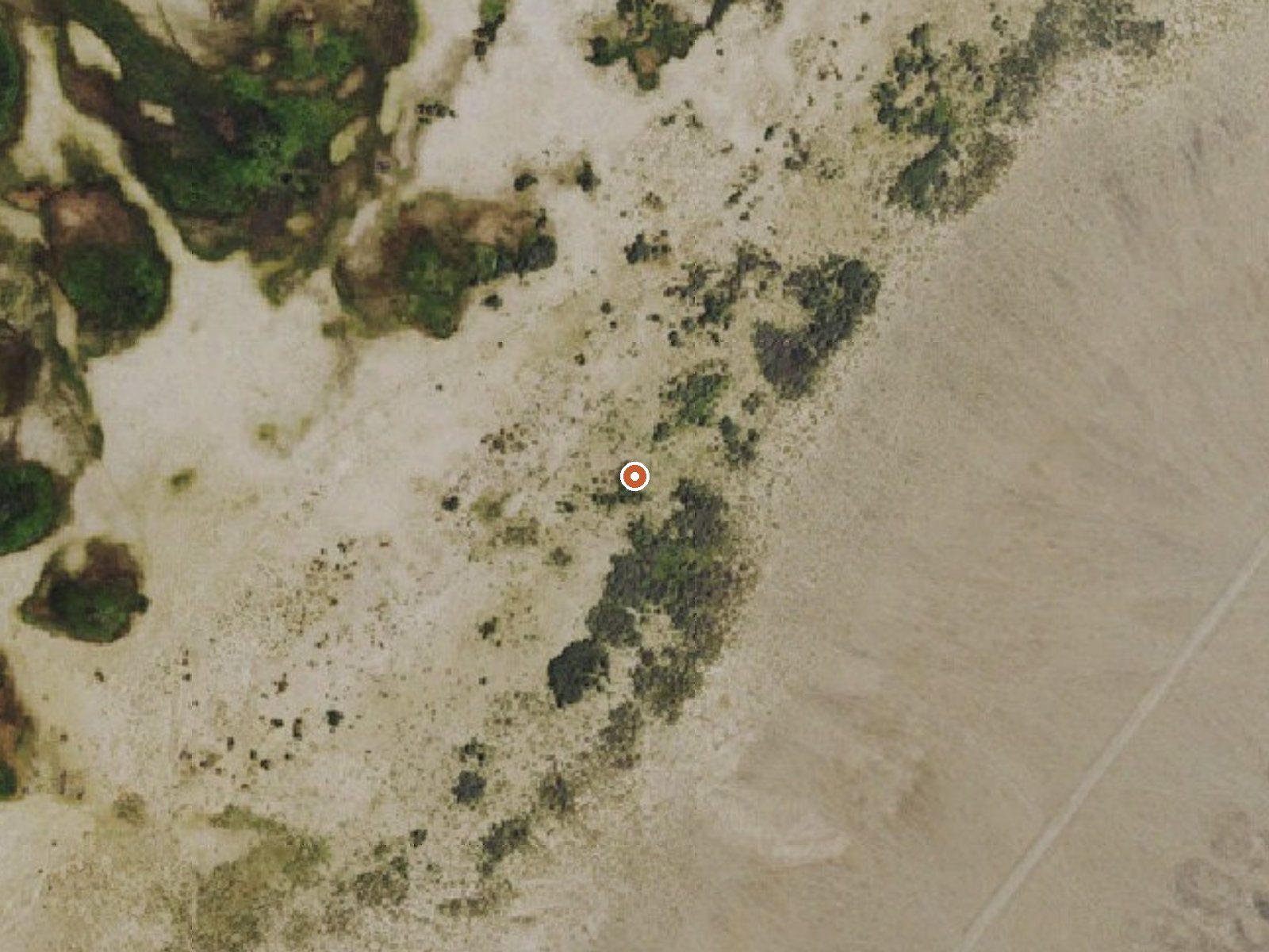 Aerial view of the ground around Big Blue (A) Spring
