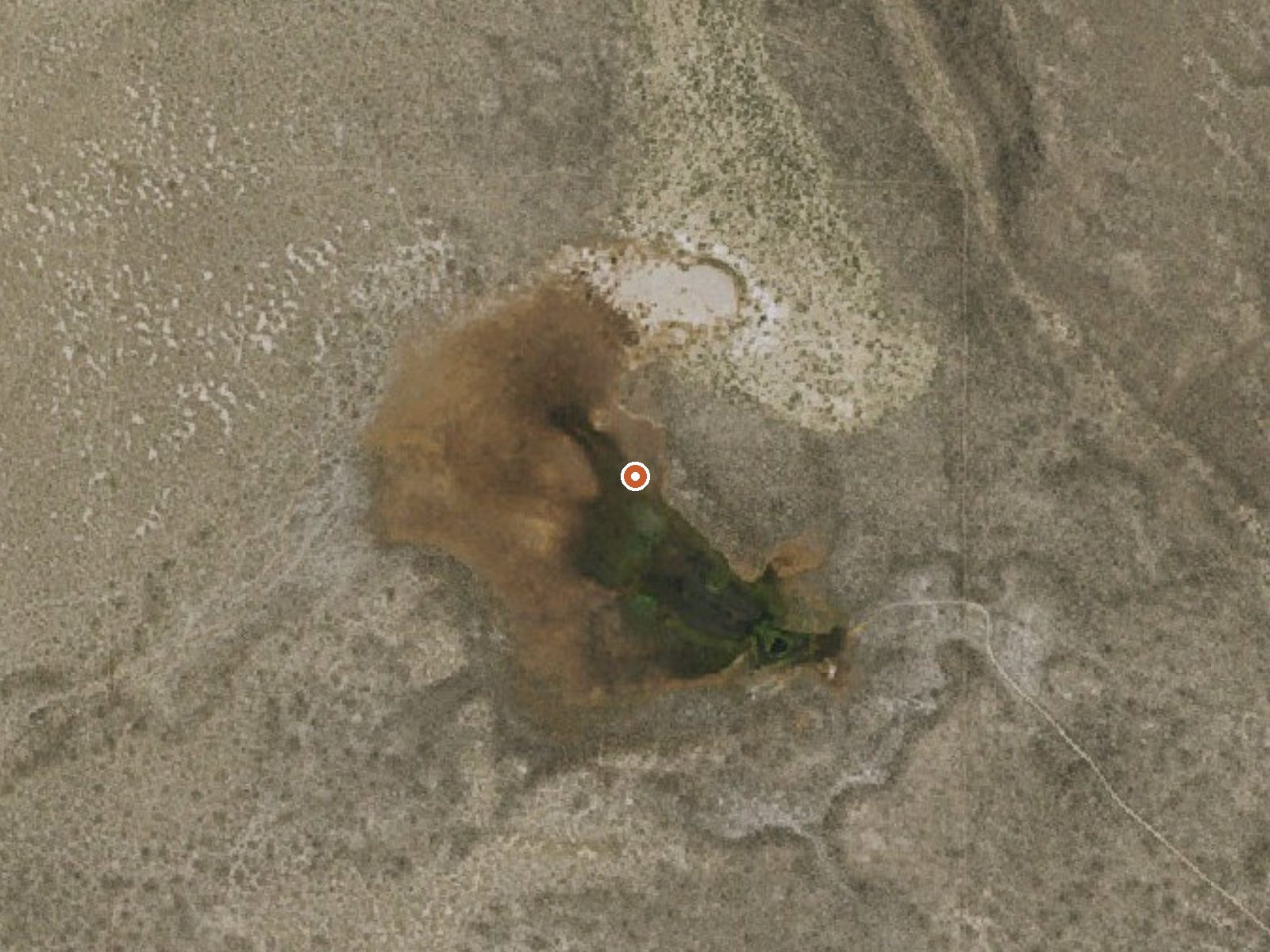 Aerial view of the ground around Seeps (Hills Warm Spring)