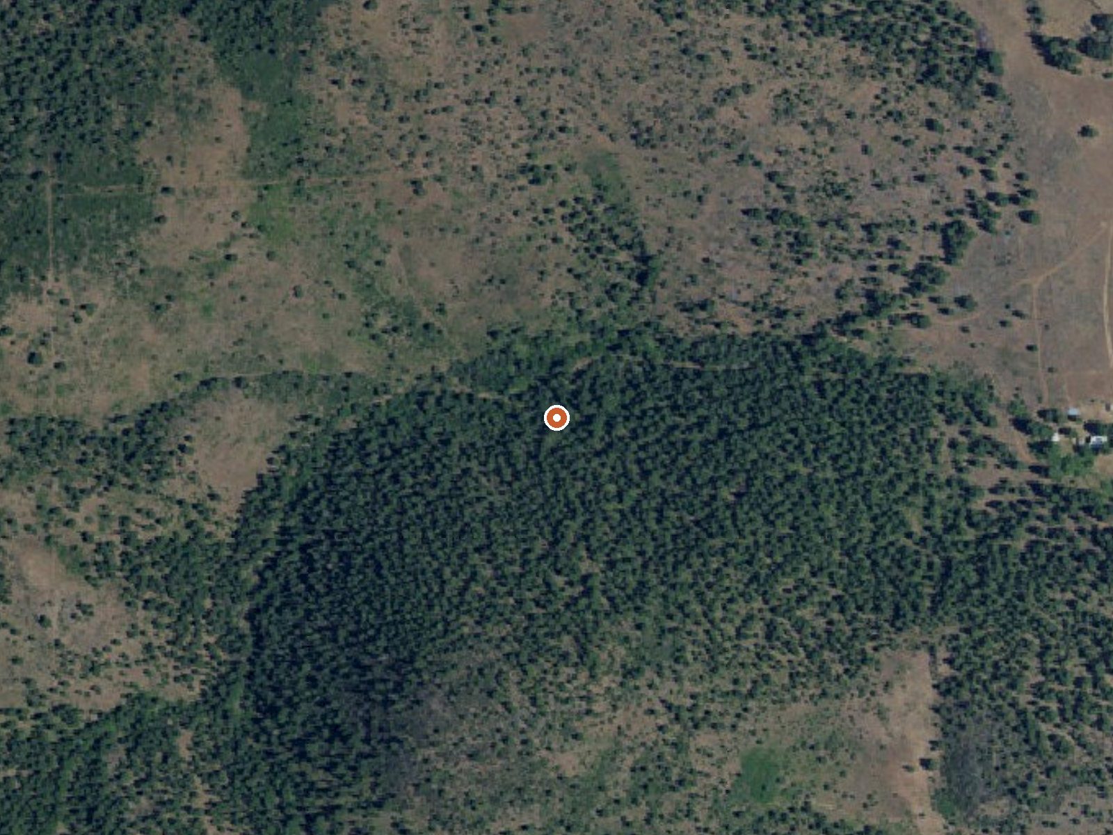 Aerial view of the ground around Bean Hot Spring