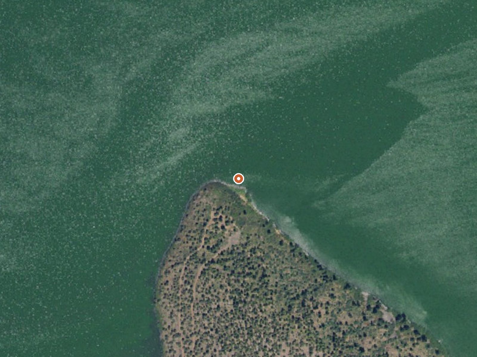 Aerial view of the ground around Eagle Point Spring