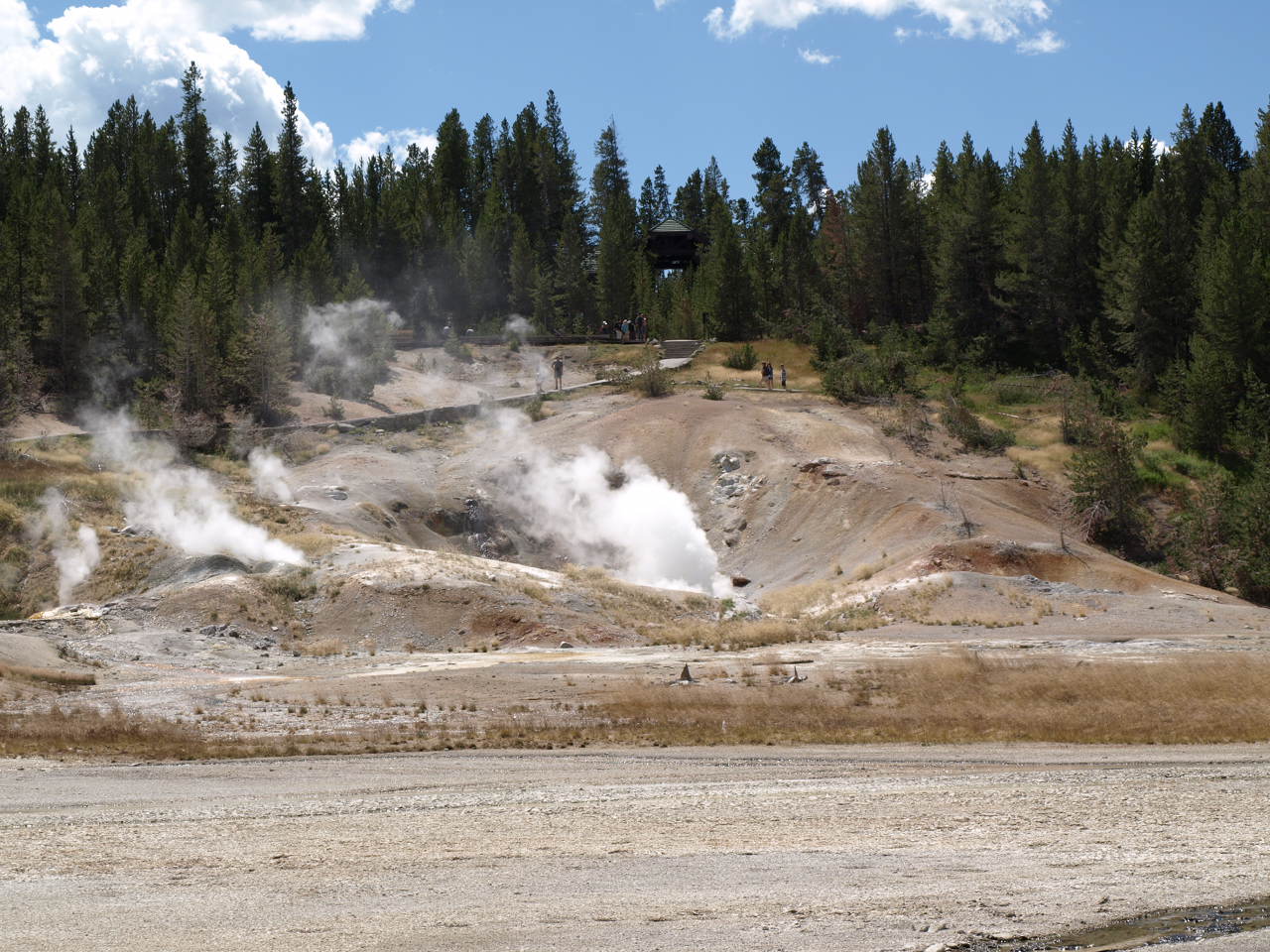 Horseshoe Spring