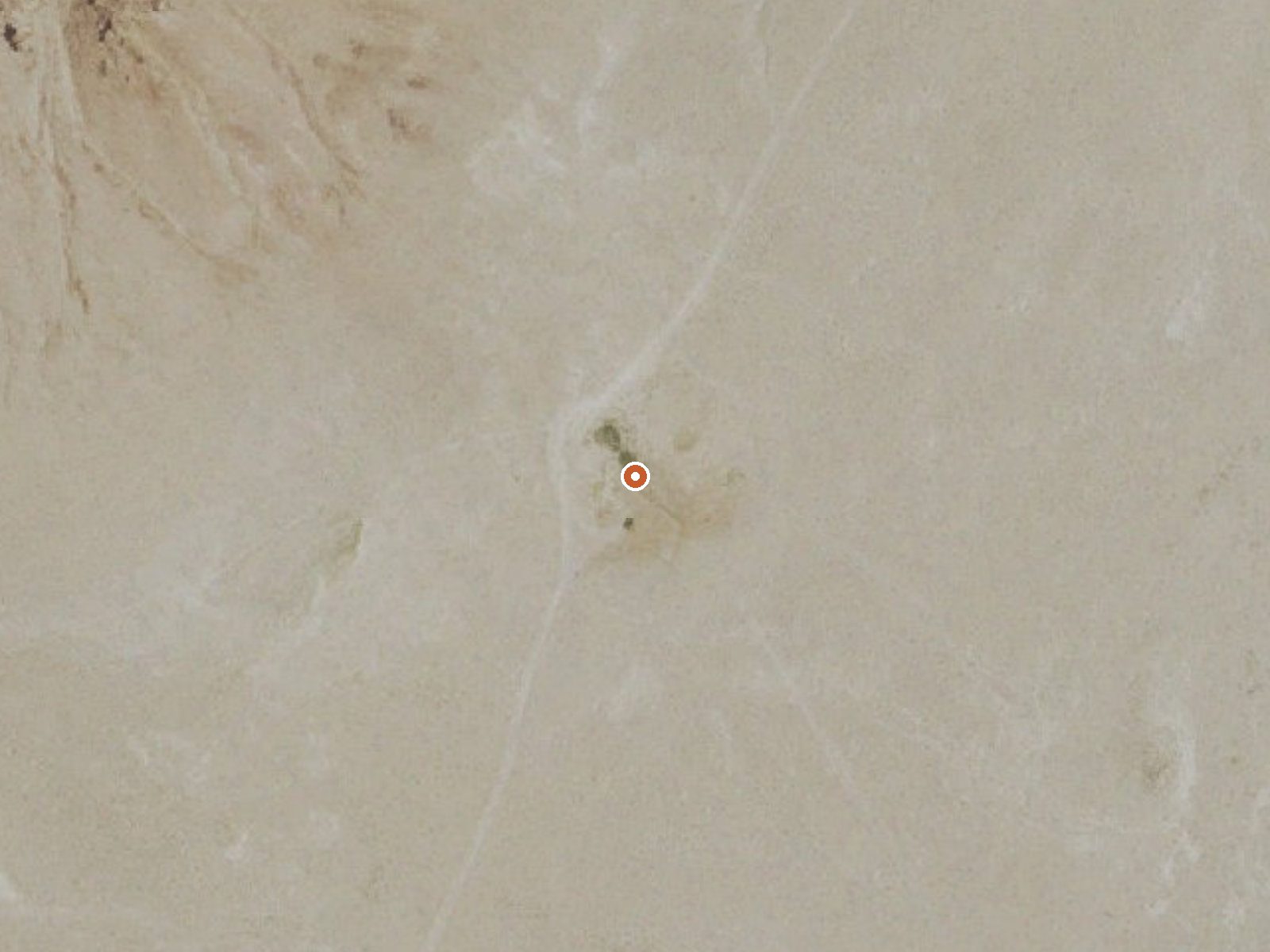 Aerial view of the ground around Storm Spring