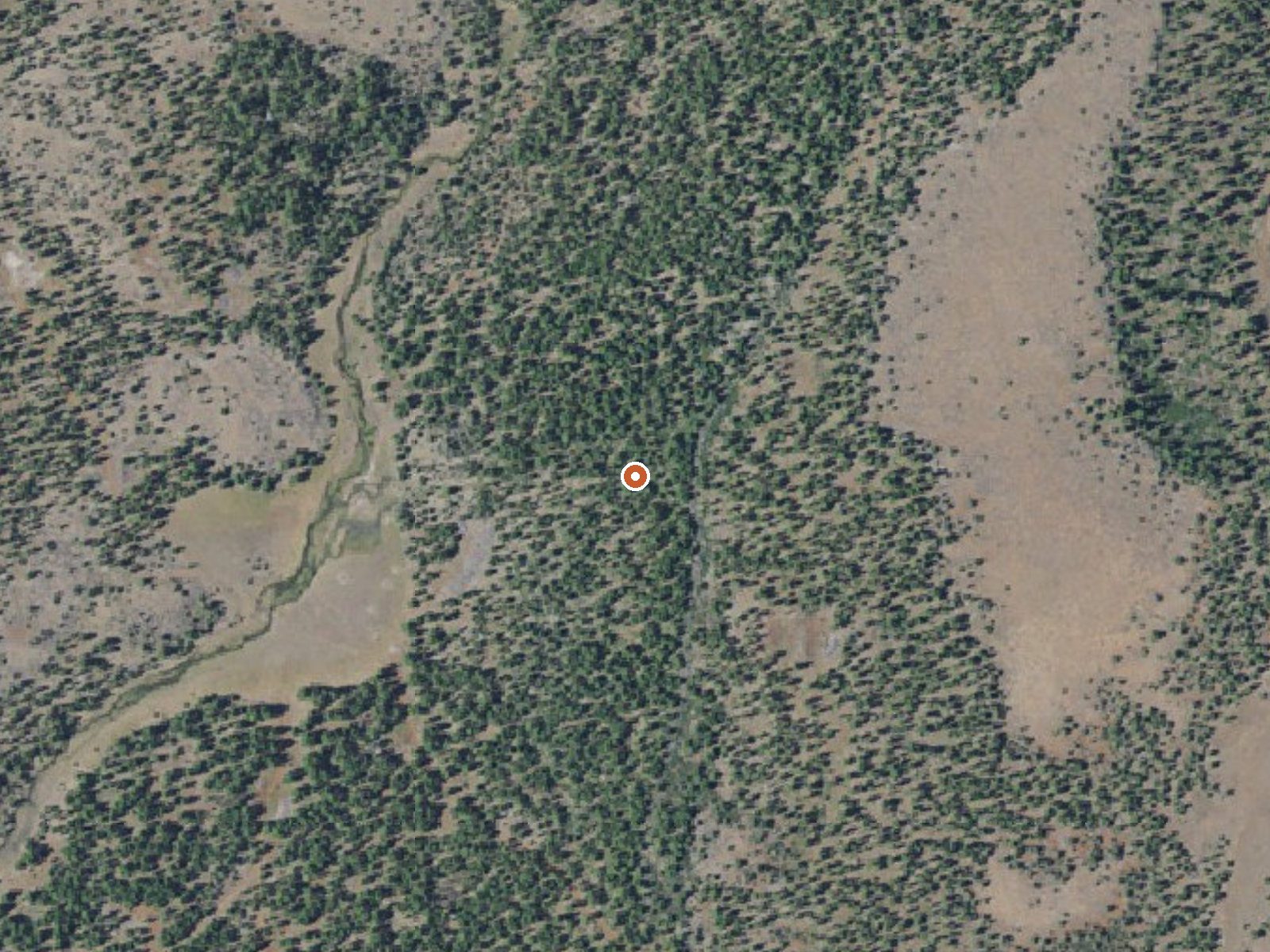 Aerial view of the ground around Warm Spring