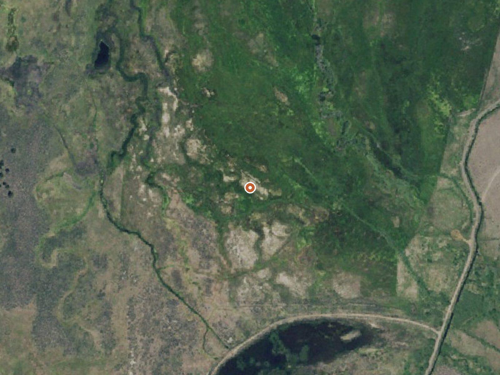 Aerial view of the ground around the spring