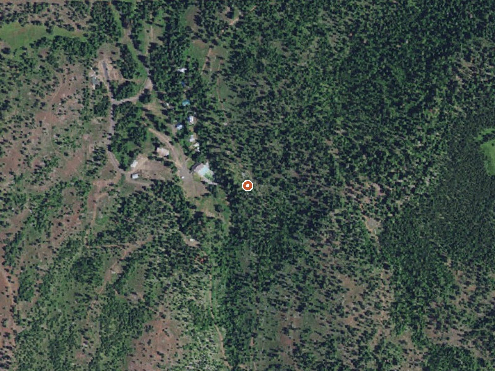 Aerial view of the ground around Lehman Springs