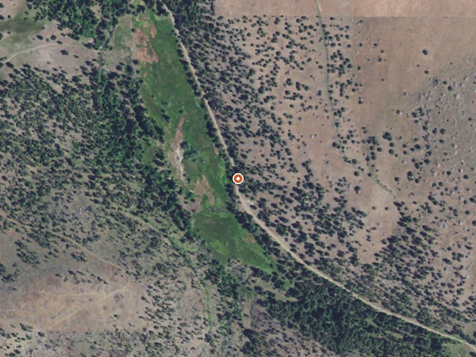 Aerial view of the ground around Limekiln Hot Spring