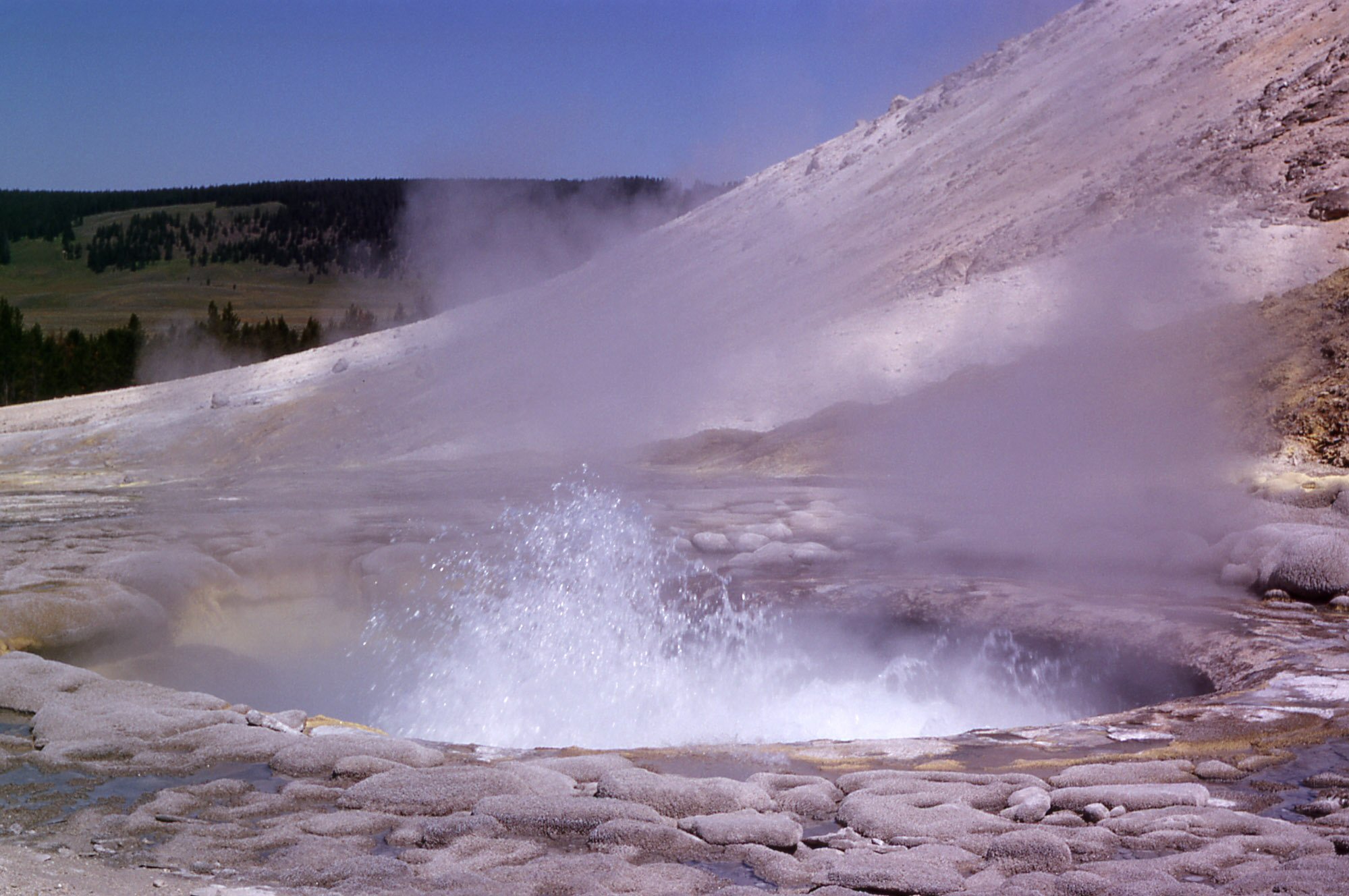 Sulphur Springs
