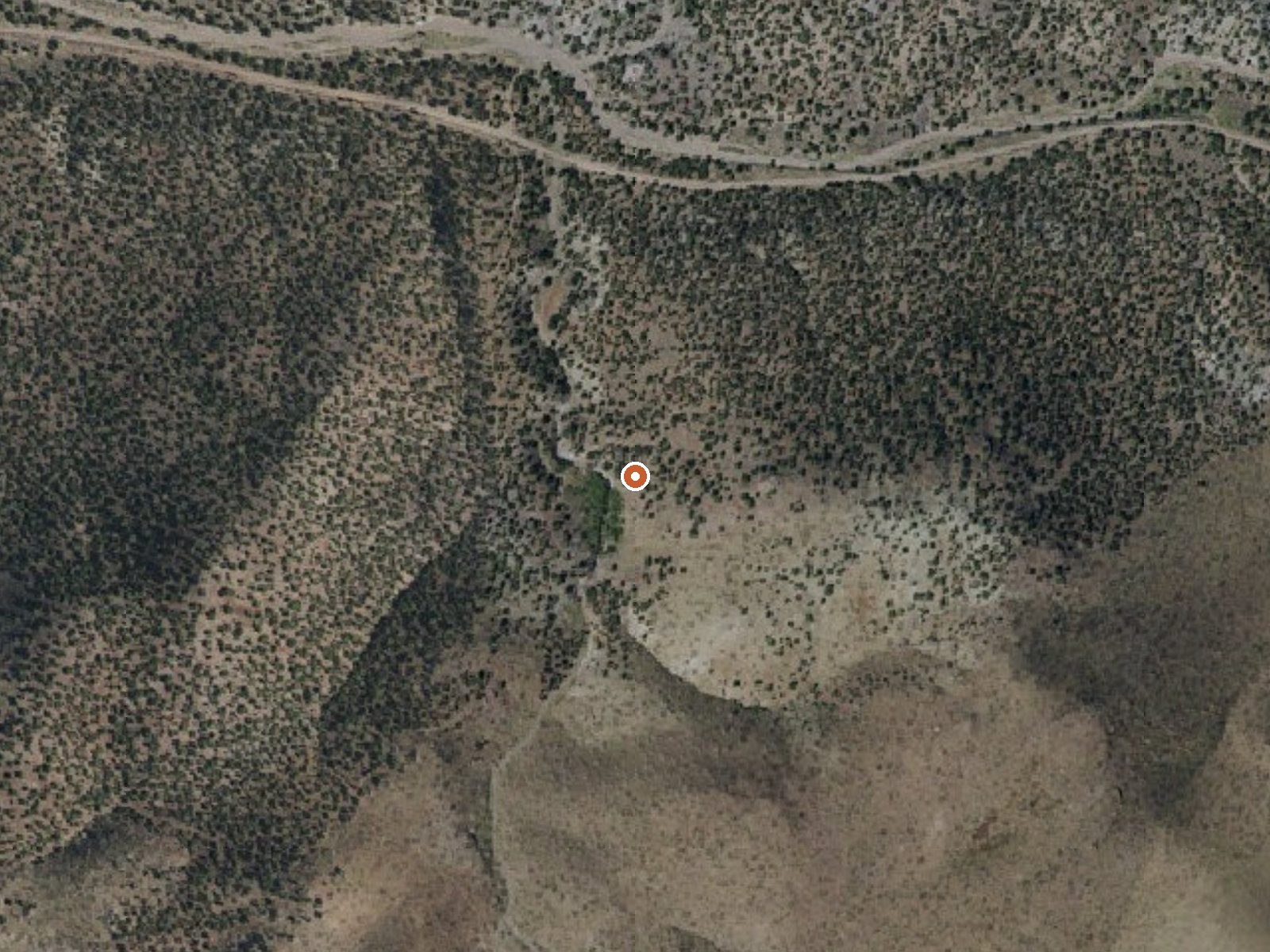 Aerial view of the ground around Willow Spring