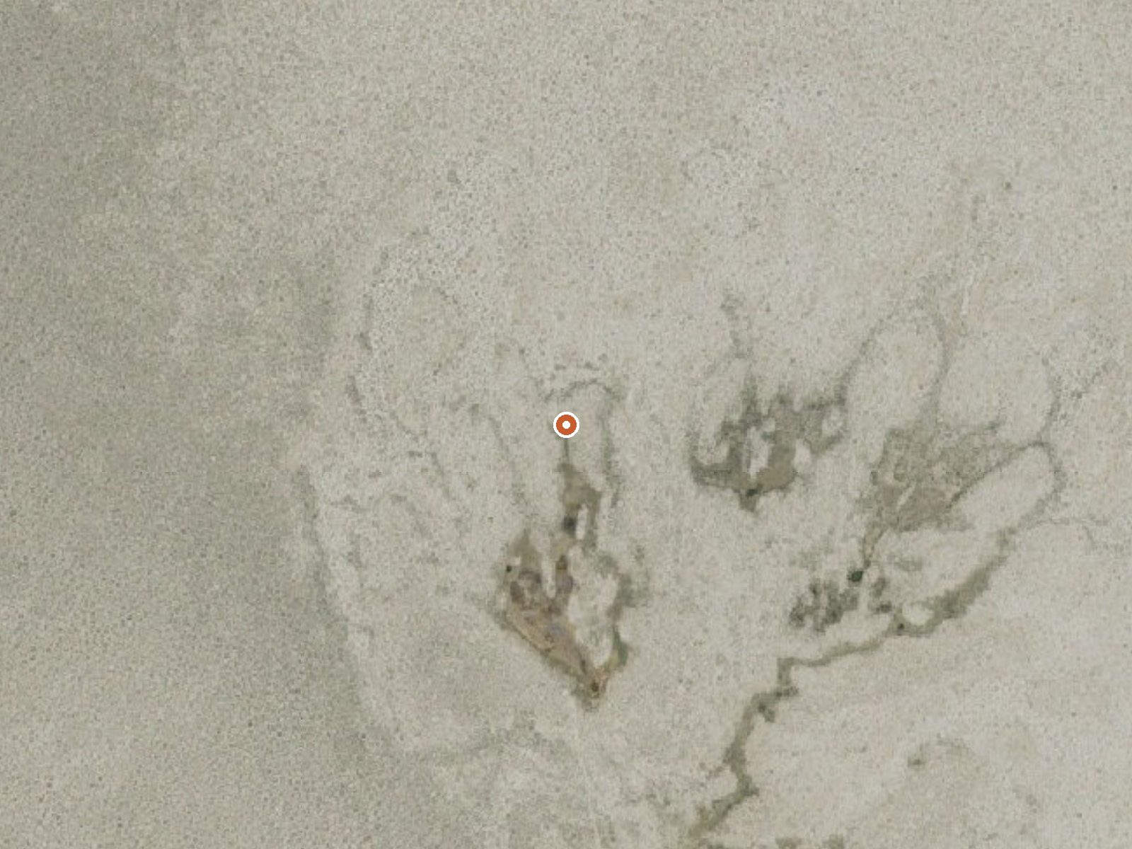 Aerial view of the ground around the spring