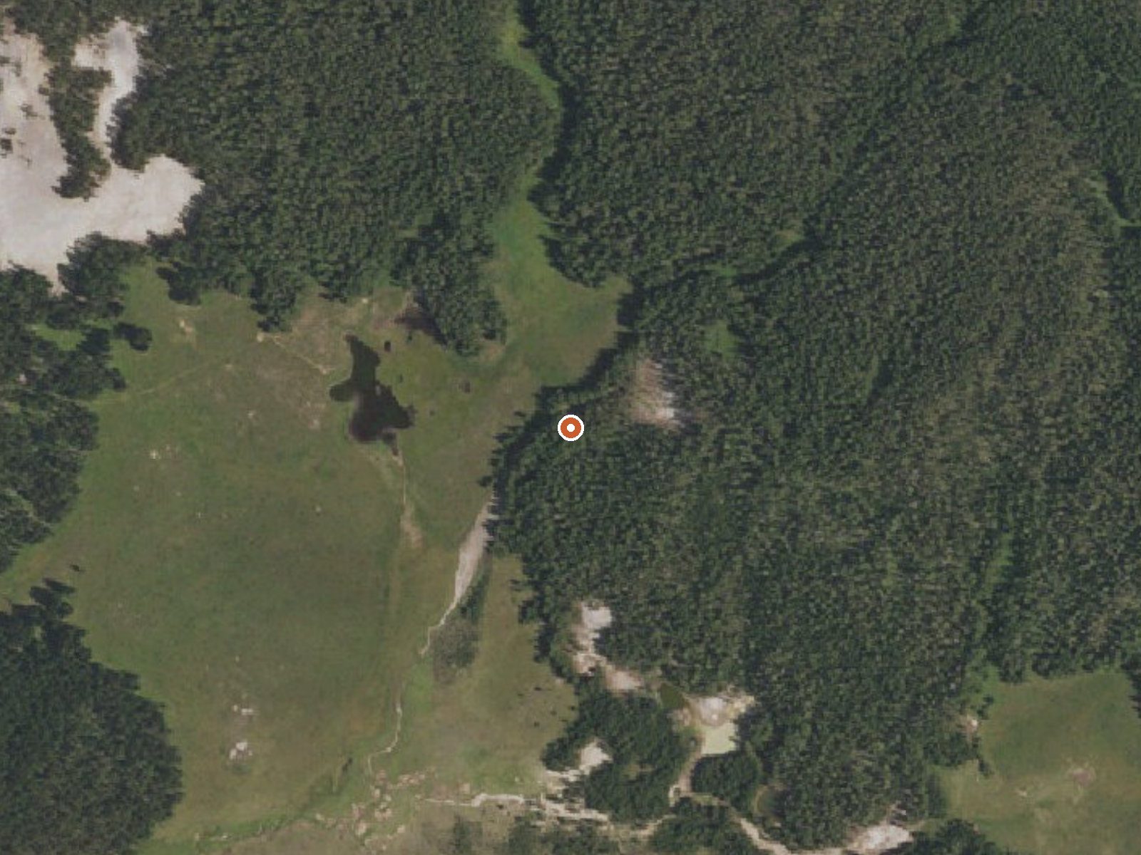 Aerial view of the ground around Forest Springs
