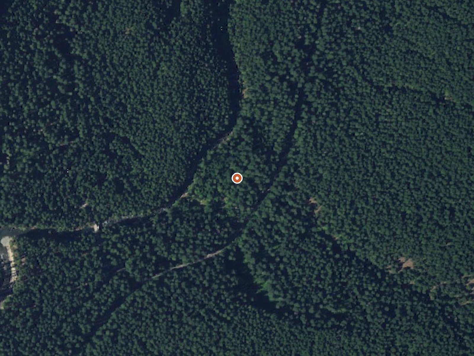 Aerial view of the ground around Ohanapecosh Hot Springs