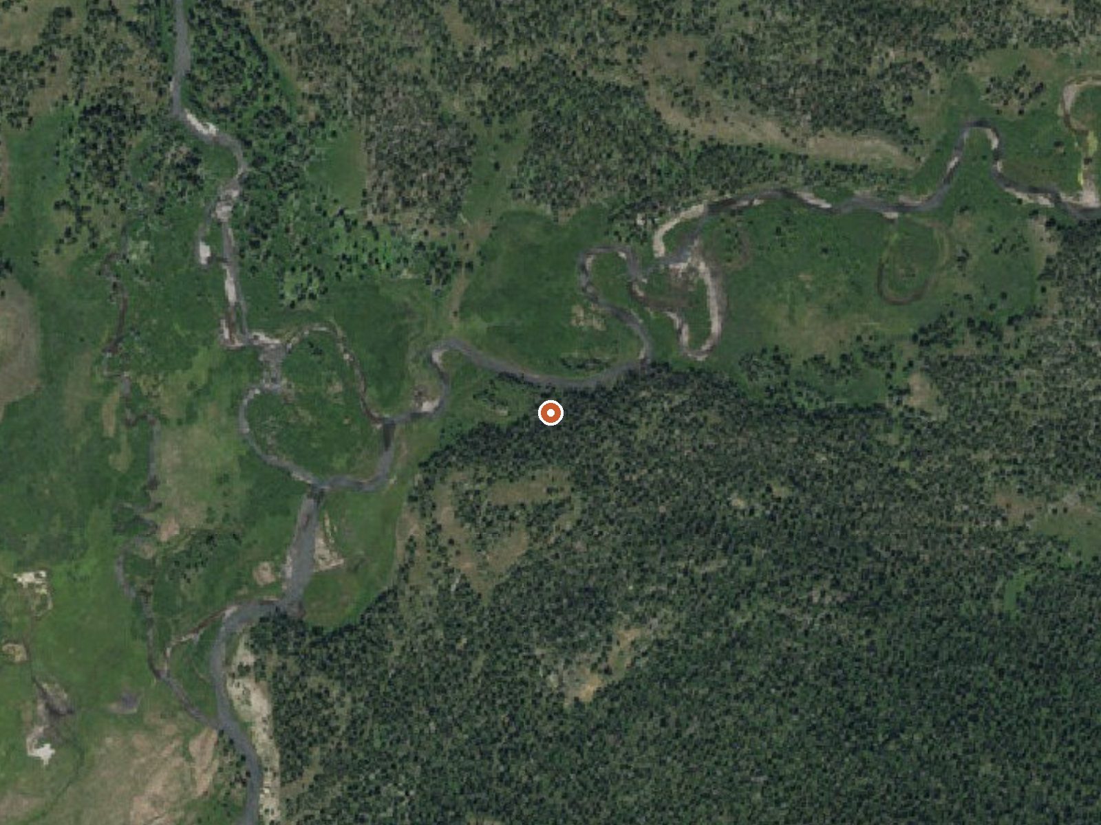 Aerial view of the ground around North Buffalo Fork Springs
