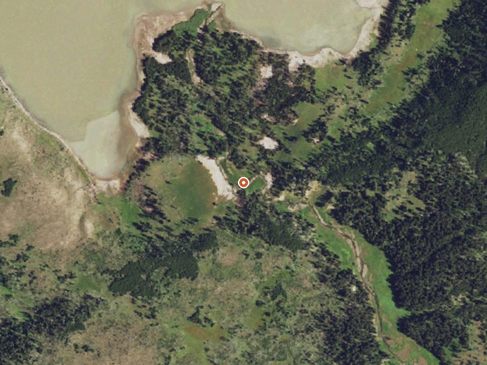 Aerial view of the ground around Turbid Springs