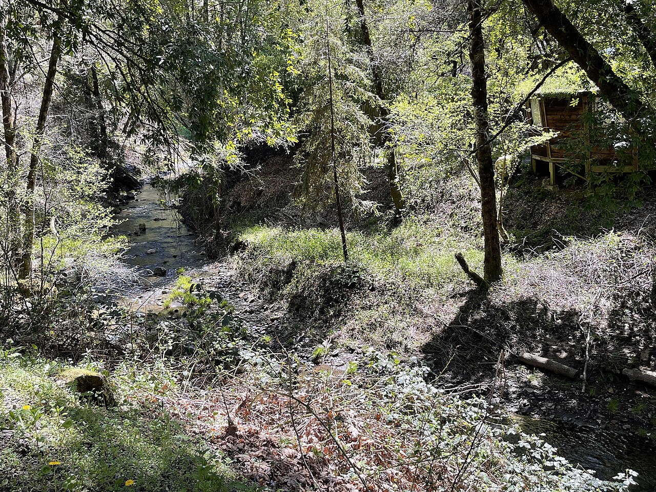 Orrs Springs