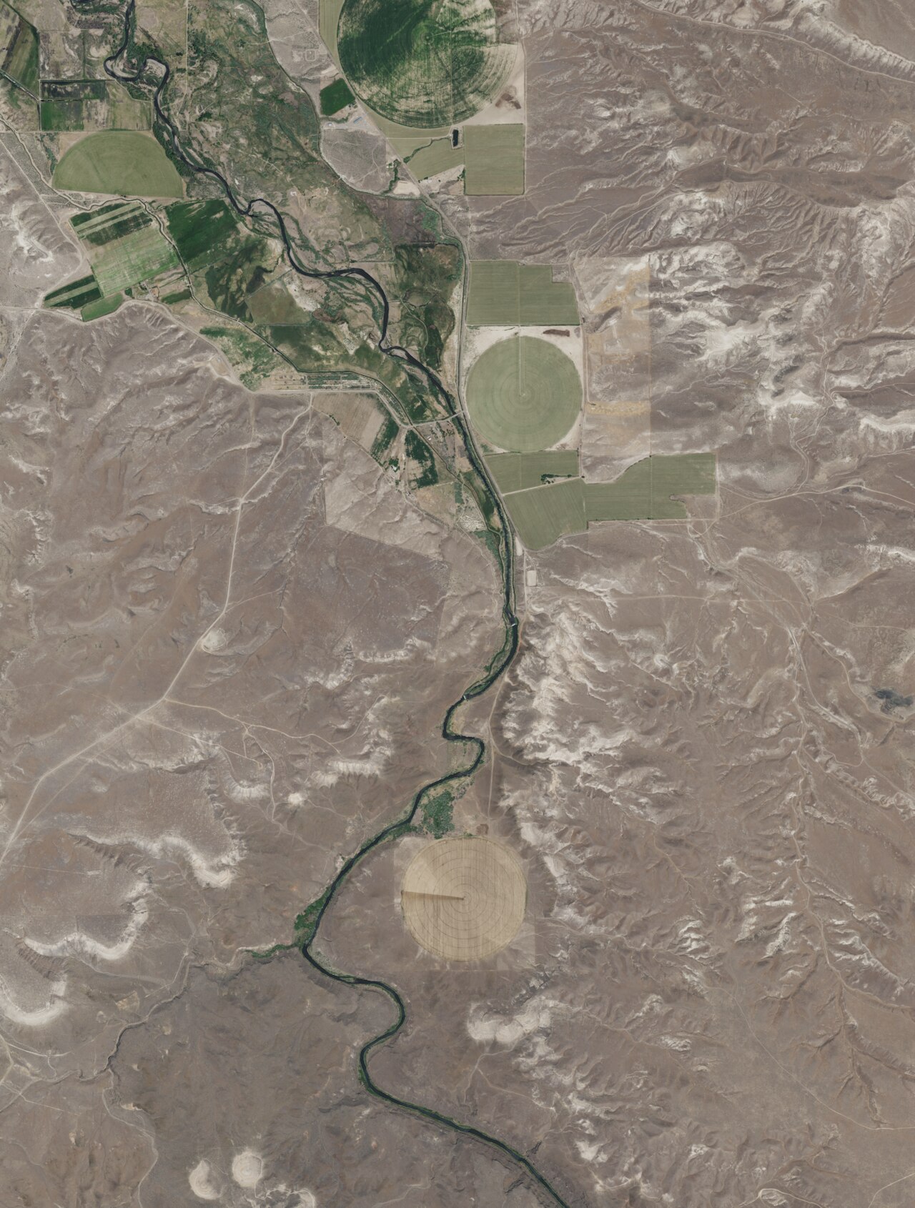Buckaroo Hot Spring