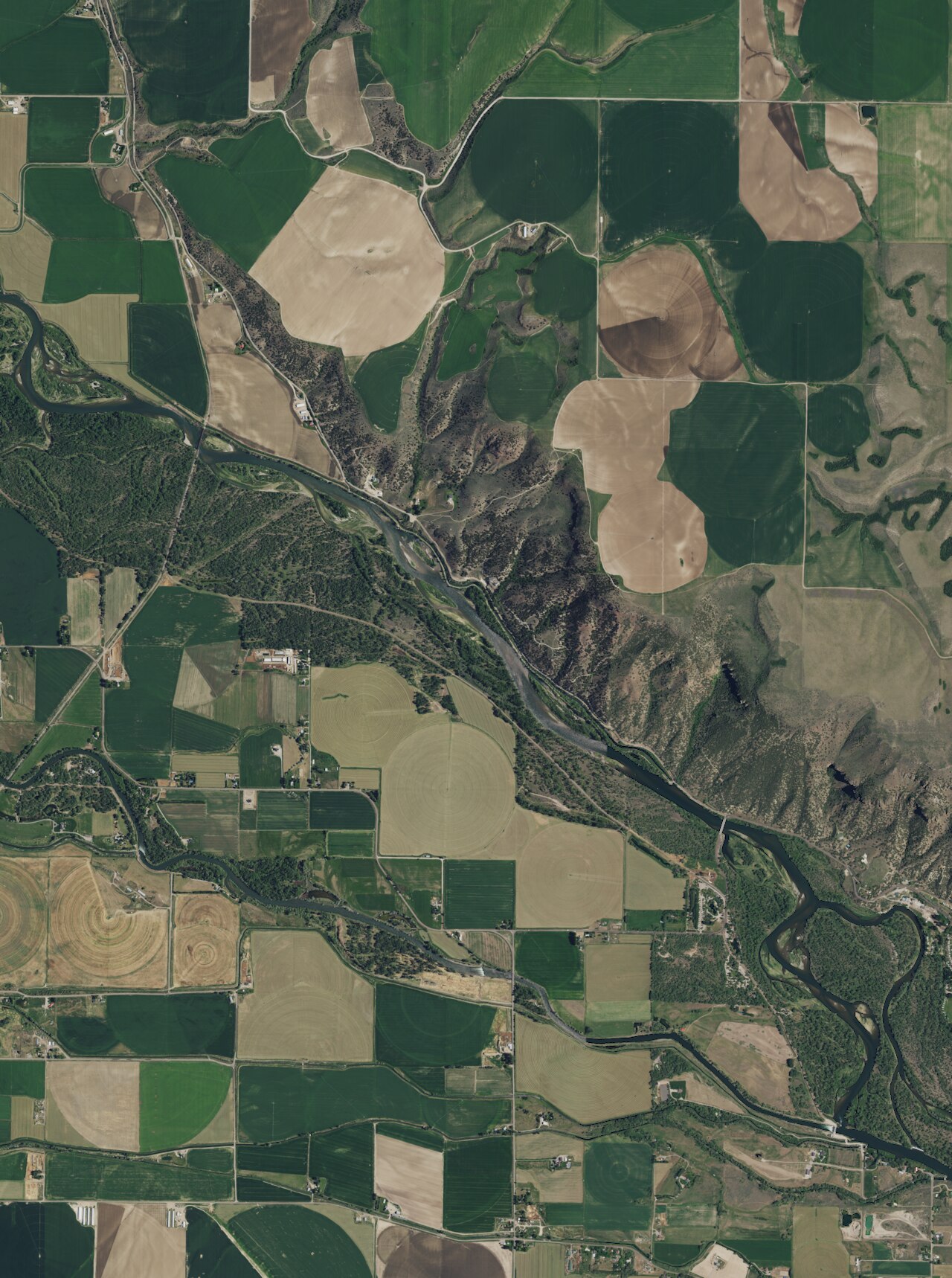 Elkhorn Warm Spring