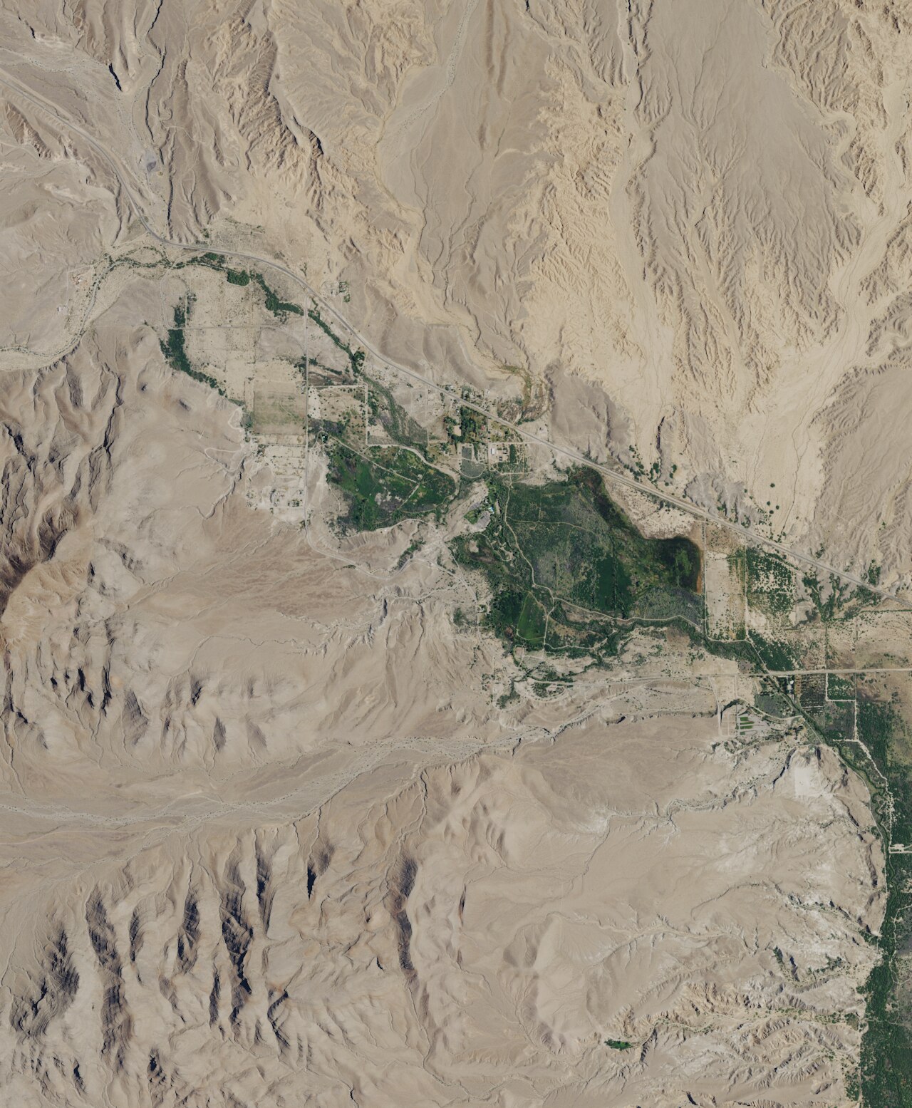 Muddy Spring