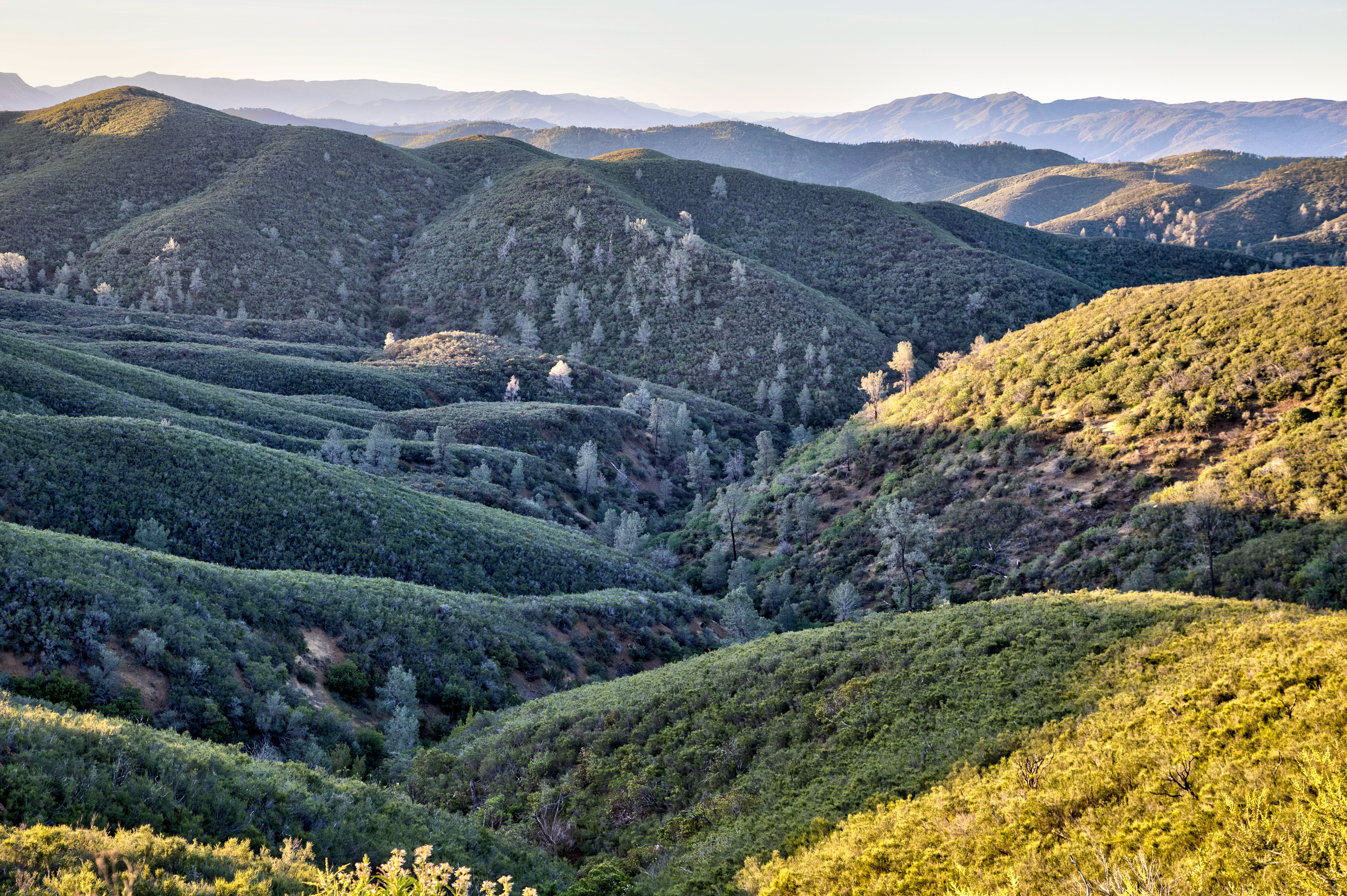 Elgin Mine